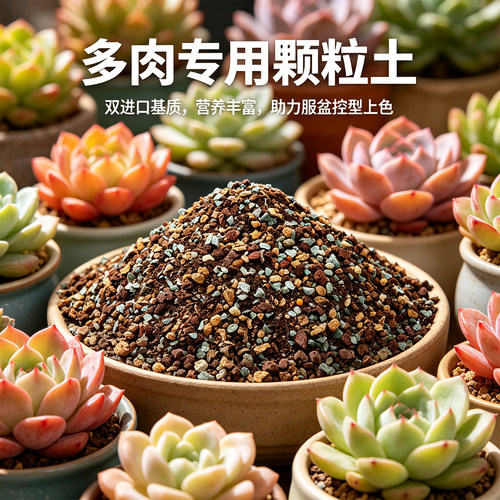 多肉专用纯颗粒营养土