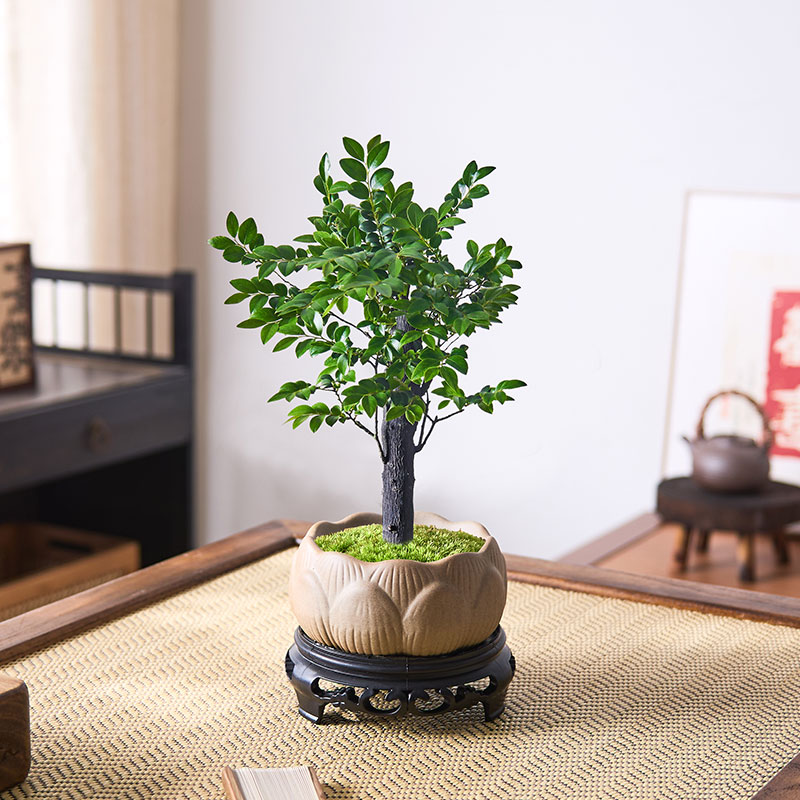 小叶紫檀黑骨茶盆景室内禅意摆件
