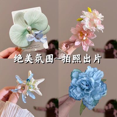 海洋系列碎发夹永生花海星贝壳饰