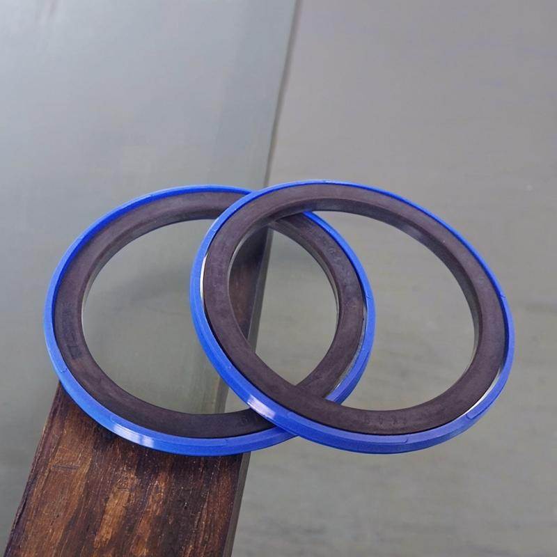 KASTAS进口KR 90*69*8.1 100*79*6.3 200*179 180*159 活塞密封件