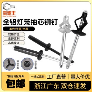 灯笼抽芯铆钉全铝大帽沿拉铆钉三爪黑色汽车用酒盒用拉钉铆钉拉花