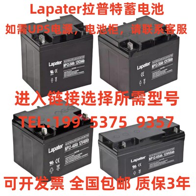 Lapater拉普特蓄电池NP12V7A17A24A38A40A65A100A120AH直流屏/UPS