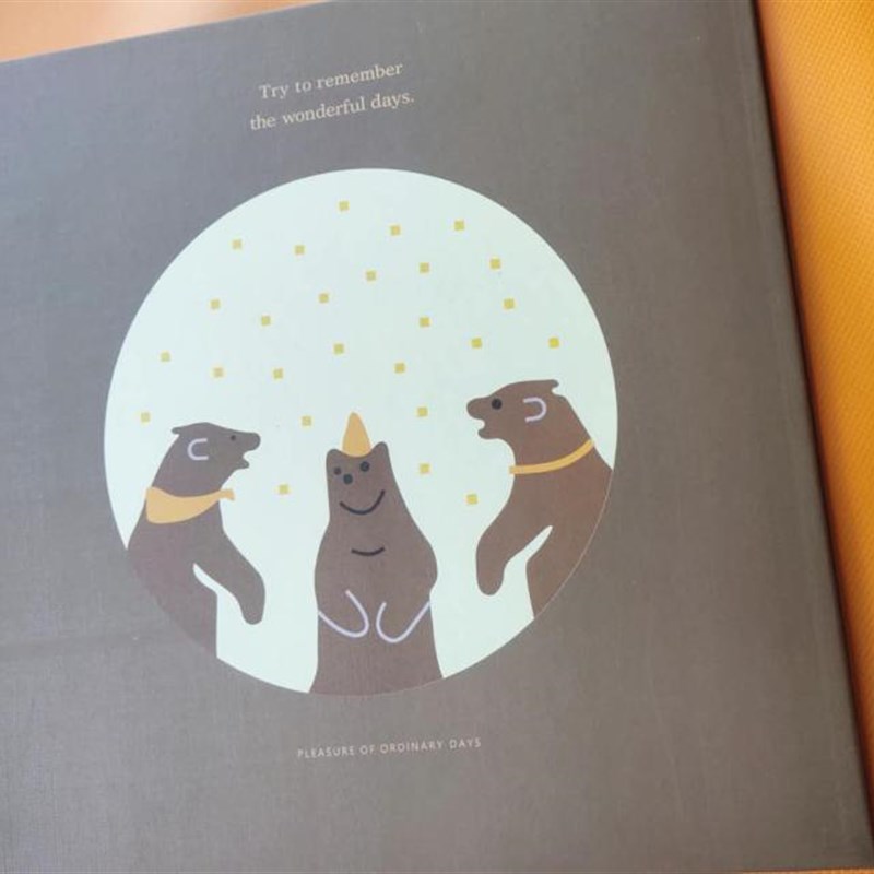 标准4寸5寸6寸冲洗印照片diy插页式家庭儿童影集收藏相册本