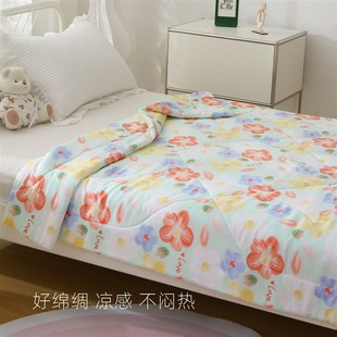 新款 绵绸薄夏凉被盖毯人造棉空调被儿童卡通可机洗 凉感不闷热