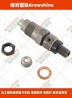 格莳国际发动机配件D1005喷油器1G065-53900