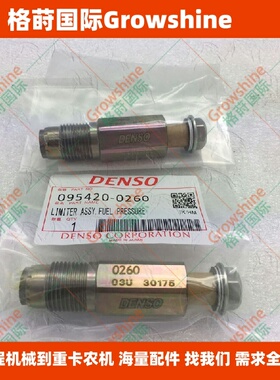 高质量共轨限压阀8973186910，8980325490，095420-0260