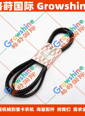 6SD1水泵传动皮带1136714350，1-13671435-0