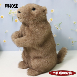仿真土拨鼠可爱玩具安抚旱獭毛绒玩偶公仔非遗手工艺品摆件小礼物