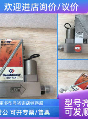 议价Bronkhorst F201CV-1K0-BAD-88-V    1000SCCM H2