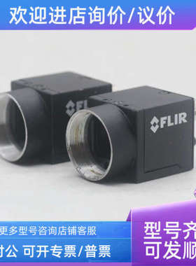 议价FLIR BFS-PGE-200S6M-C 2000万像素黑白工业相机