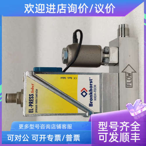 议价Bronkhorst 流量计AIX-006DE H2 2bara) 荷兰