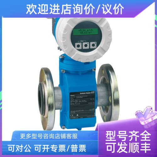 议价E+H电磁流量计10L 涡街7F2C科里奥利流量计5WBB恩德斯豪斯10L