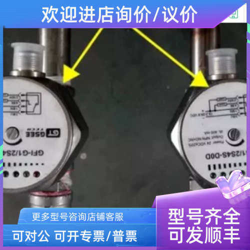 议价示流器流量开关GFI-G1/2S4S-D2D  GFI-G1/2S4S-D0D