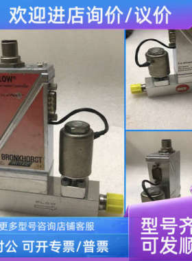议价Bronkhorst  AIX-004CE S.N.M4208318E 200min/min  H2 流量