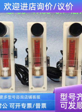 议价TOKYO KEISO/东京计装 PFA浮子流量计 GF00-41155  0.1-1L/mi