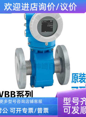 议价E+H恩德斯豪斯电磁流量计5WBB6H-AAFAEBJN2AUD2K0AA1+AK DN50