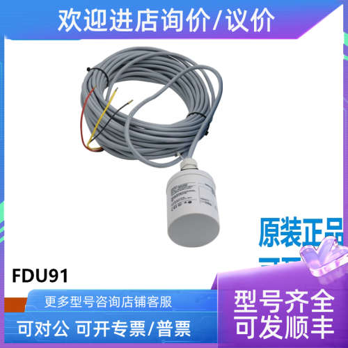 议价E+H恩德斯豪斯FDU91-RG1AA液位探头FDU91-RG2AAFDU92-RG1A