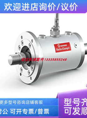 议价E1010101S  JS-Z02-453XJohann Schild液压缸