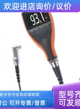 议价英国易高A456CFNFBS涂层测厚仪 A456CFNFBS+T456CFNF1R漆膜仪