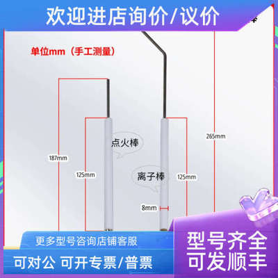 议价百得Baltur燃烧机BTG28 BTG20 BTG15 BTG11点针 离子探针点棒