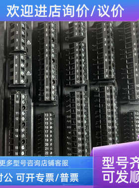 议价DEIF PPM300 921003616.10 模块