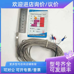 议价铂电阻热电偶 WZP-235 L=51005000MM 200℃— +450℃ PT100
