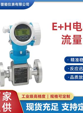 50W/5H2B/10W//10P/53W/5W3B/5W4C系列全新进口E+H电磁流量计厂家