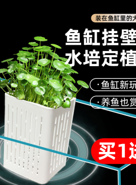 水培固定篮鱼缸水草挂壁式定植篮家用种植杯龟缸植物造景装饰托架