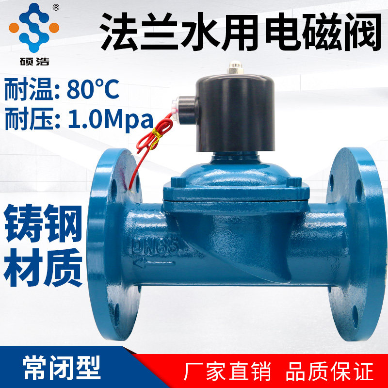 铸钢法兰电磁阀220V24V水阀32寸控制50放水开关65电动80阀门DN100