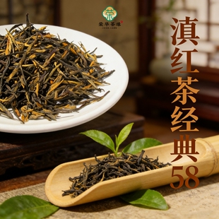 云南滇红正宗一级经典58临沧凤庆红茶2025年头春头采一芽一叶采摘