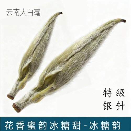白毫银针特级2025头春顺丰包邮
