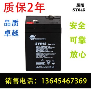 电子称用电瓶 SHENGYANG晟阳蓄电池 SY645 6V4.5AH玩具车 童车
