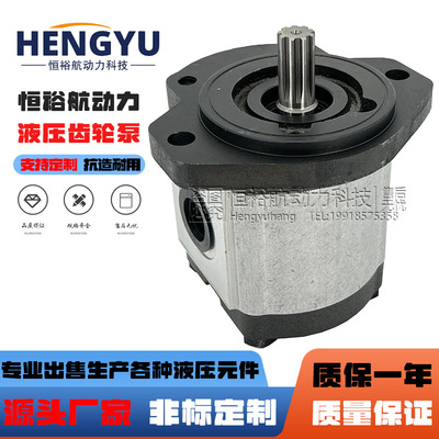 力士乐REXROTH齿轮泵AZPW21005RQRXXMBS0593 AZPN12020RCB20B油泵