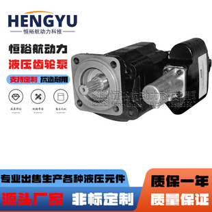 SG102 C101 铸铁油泵 派克Parker齿轮泵G101 C102 G102