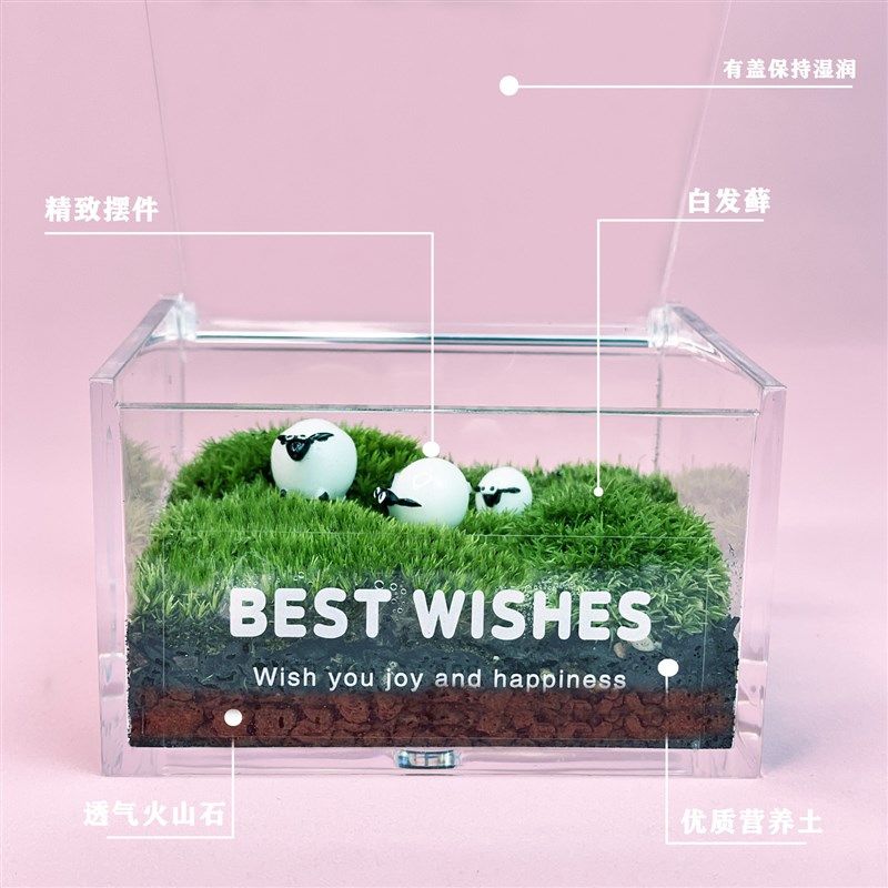 办公室工位桌面苔藓微景观生态瓶小绿植桌面造景迷你,家居饰品,桌面摆件,淘宝优惠券,粉丝福利购,淘宝优惠卷