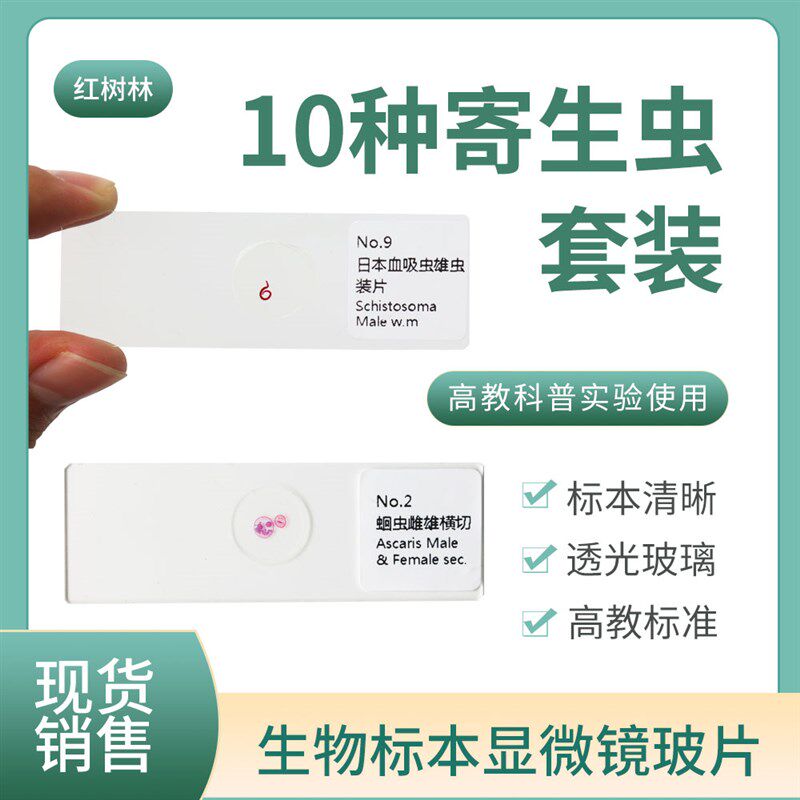 10片装寄生虫切片显微镜标本玻片等医学院科研机构医学寄生虫学
