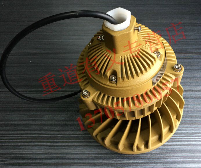【冲钻特价】防爆吸顶灯 LED照射灯,吸顶灯,壁灯,LED照明灯