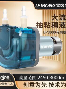 雷熔小型BP3000有刷电机蠕动泵 大流量饮料灌装机实验室抽水泵12v