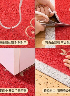 2025新款丝圈入户门地垫进门z家用脚垫门垫子门外蛇年红色门口地