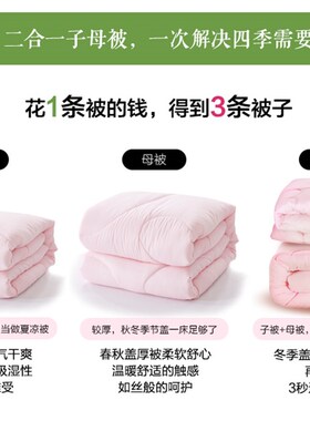 盛宇夏凉被空调被二合一子母被芯四季通M用薄被子春秋夏季被褥