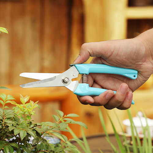 汉轩修枝剪果树植物粗枝修花园林园艺剪花树枝剪刀工具摘水果高枝