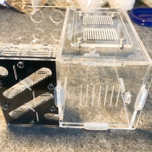 15口径6试管巢蚁巢亚克力巢黑色中小型蚁巢