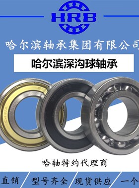 哈尔滨深沟球轴承6016 6017 6018 6019 6020 6021 6022 6024ZZ/RZ