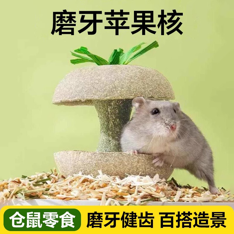苹果核提摩西磨牙零食造景玩具