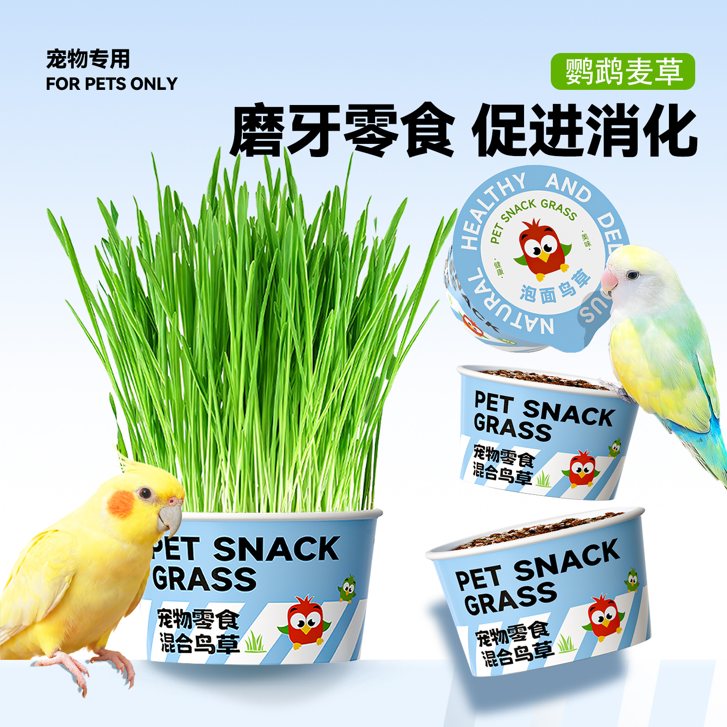 鹦鹉麦芽草鸟草促消化助排毛零食