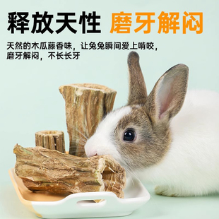 兔子磨牙玩具零食木瓜墩木头树桩咬木解闷龙猫荷兰猪豚鼠仓鼠用品