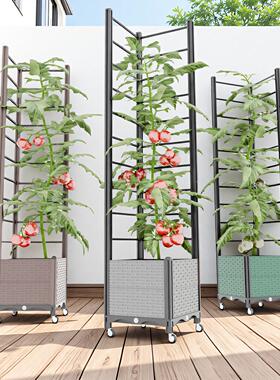 黄瓜爬藤架季豆花架支外撑杆葡萄架子户庭院植物月季西红柿UPX四