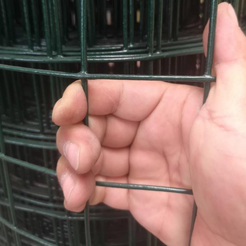 加硬丝围栏网养鸡养殖护小孔钢丝网隔离ZKT栅栏护铁栏防网硬塑荷