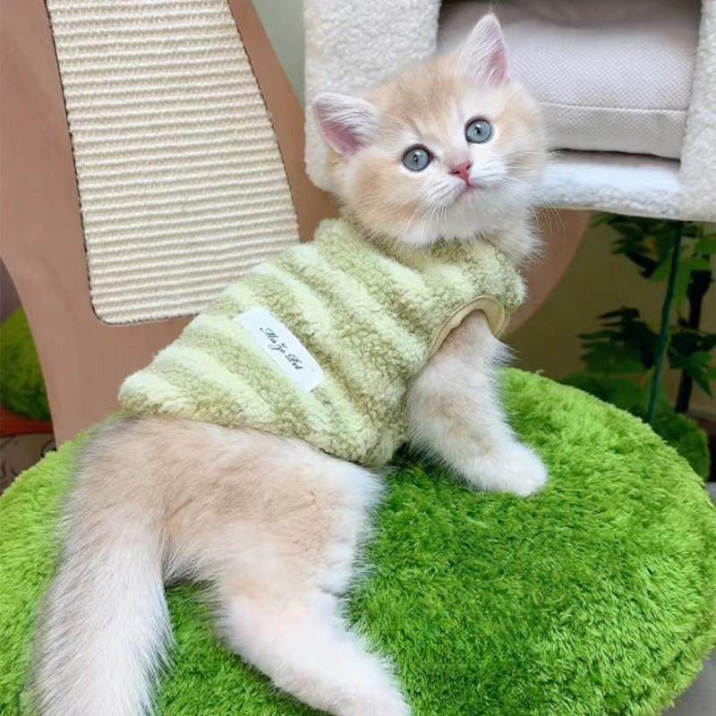 猫衣服秋天温暖背心宠物布娃娃猫银色梯度德国天鹅绒背心小狗泰迪,宠物/宠物食品及用品,猫宠物服装/雨衣（新）,淘宝优惠券,粉丝福利购,淘宝优惠卷