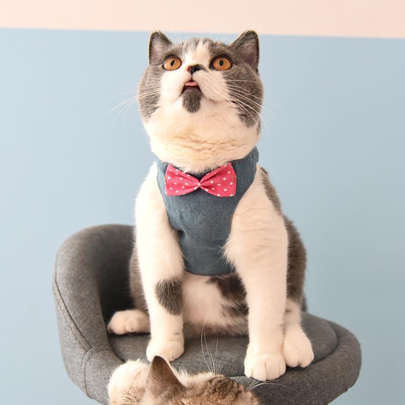 猫咪牵引绳猫绳子遛猫绳胸背带背心式栓猫绳猫链子夏季猫咪衣服
